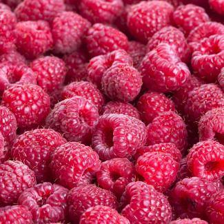 BOIRON Shelf Stable Fruit Puree, Raspberry
