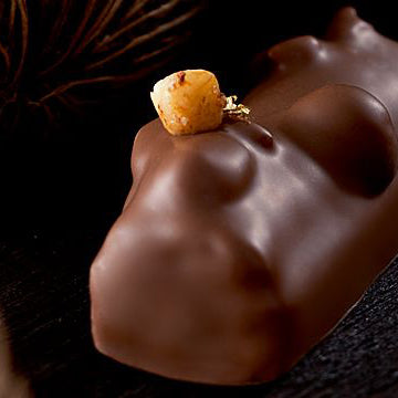 CACAO BARRY Hazelnut Praliné 50%