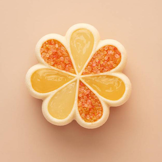 LES VERGERS BOIRON Frozen Fruit Puree – Lemon