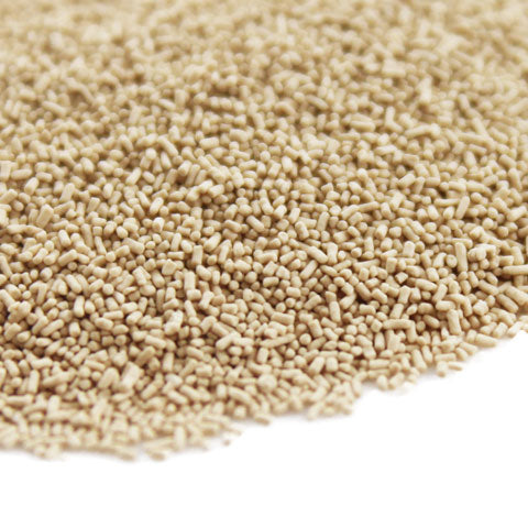Close-up of Nitten Hokkaido Tokachi Wild Yeast on a white background