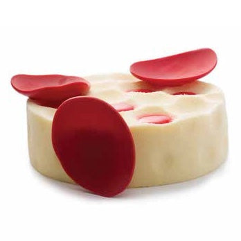 A round beige white chocolate cake with red leaf-shaped decorations, shown on a plain white background.