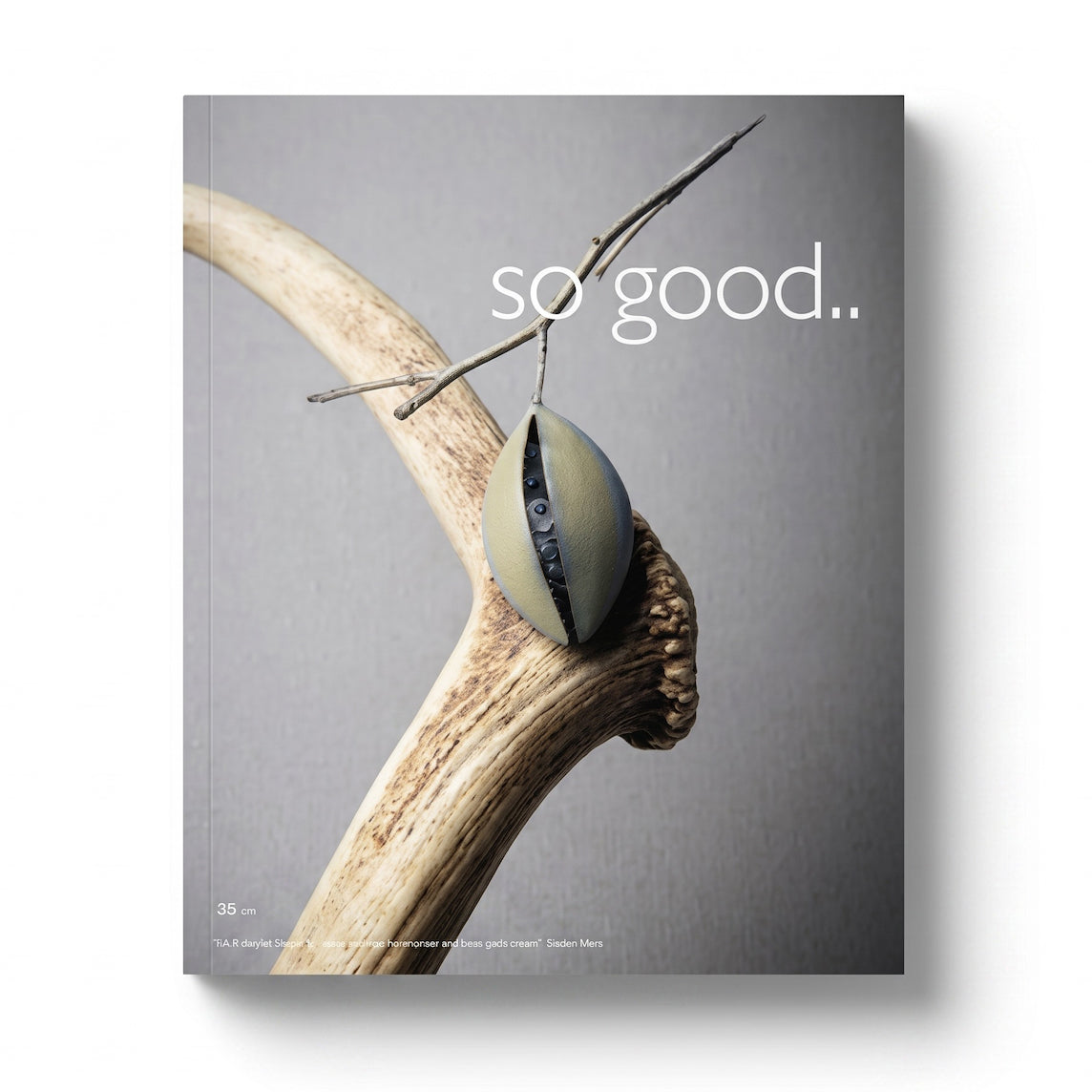 Book cover for So Good Magazine 35 with a natural design element and text 'so good..' on a gray background