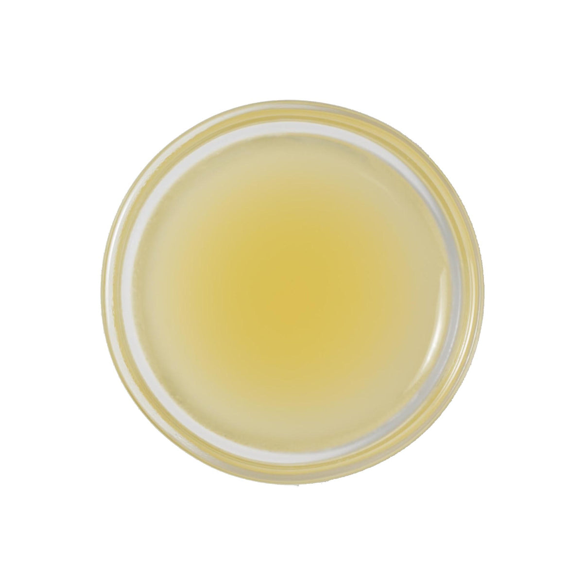 TAKA frozen Hyuganatsu puree – Japanese New Summer Orange (ひゅうがなつ) with tangy, floral flavour