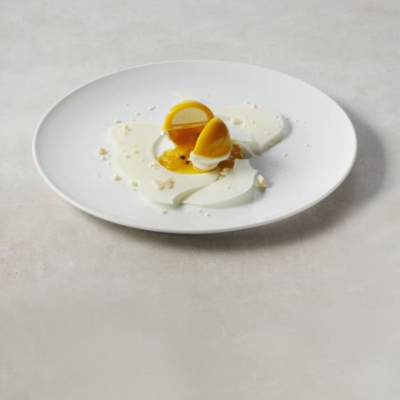 VALRHONA Passion Inspiration, Fruit Chocolate Couverture