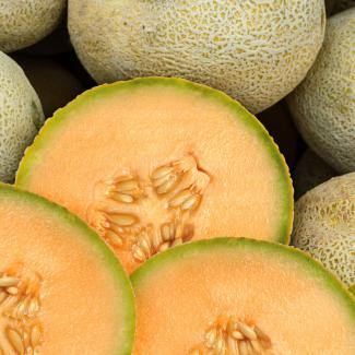 BOIRON Frozen Fruit Puree, Melon