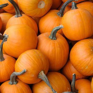 BOIRON Frozen Vegetable Puree, Pumpkin (1kg)