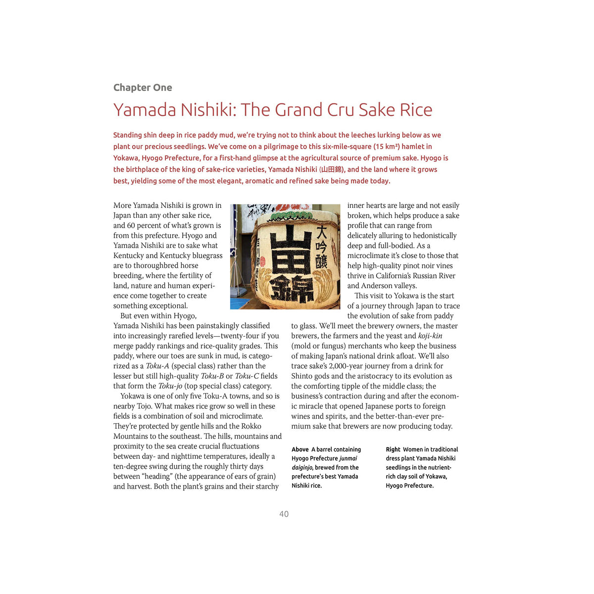 Exploring the World of Japanese Craft Sake (EN)