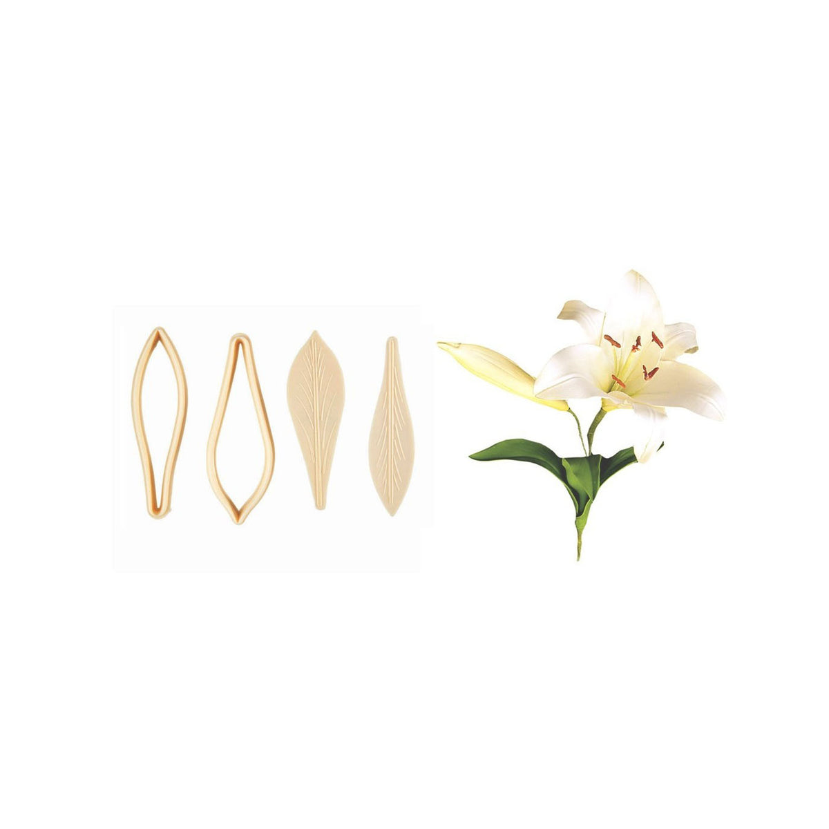 FMM SUGARCRAFT Exotic Lily & Embosser Set