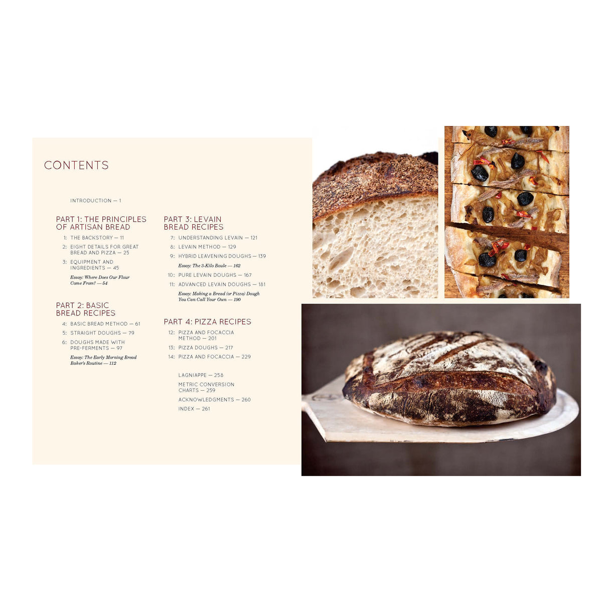 Flour, Water, Salt, Yeast: The Fundamentals of Artisan Bread and Pizza (EN)