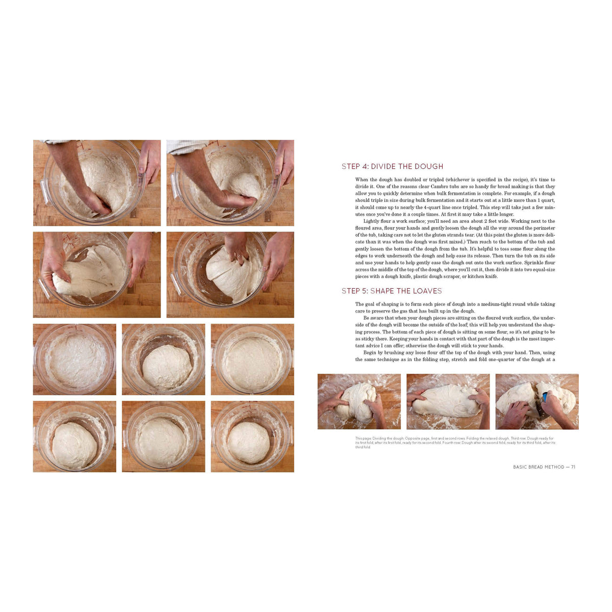 Flour, Water, Salt, Yeast: The Fundamentals of Artisan Bread and Pizza (EN)