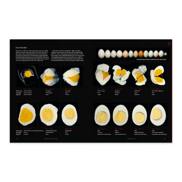Modernist Cuisine at Home (EN)