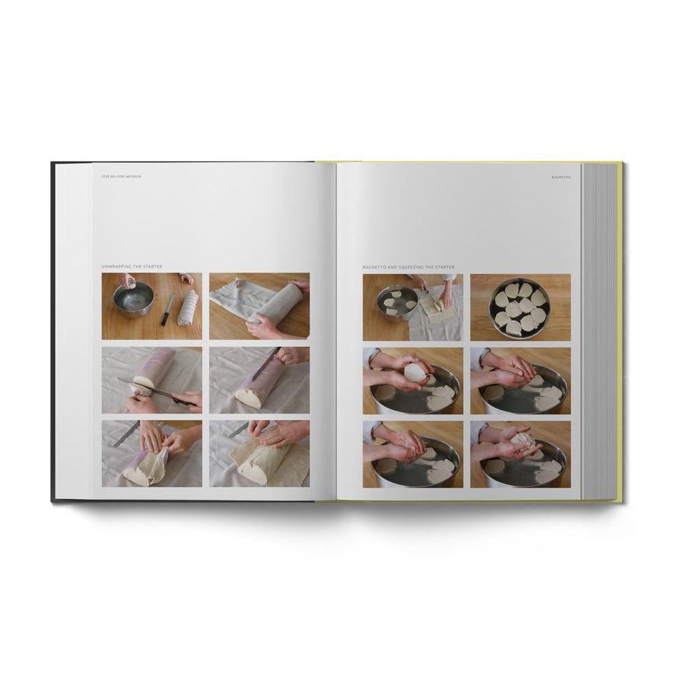 Sourdough Panettone and Viennoiserie by Thomas Teffri-Chambelland (EN)