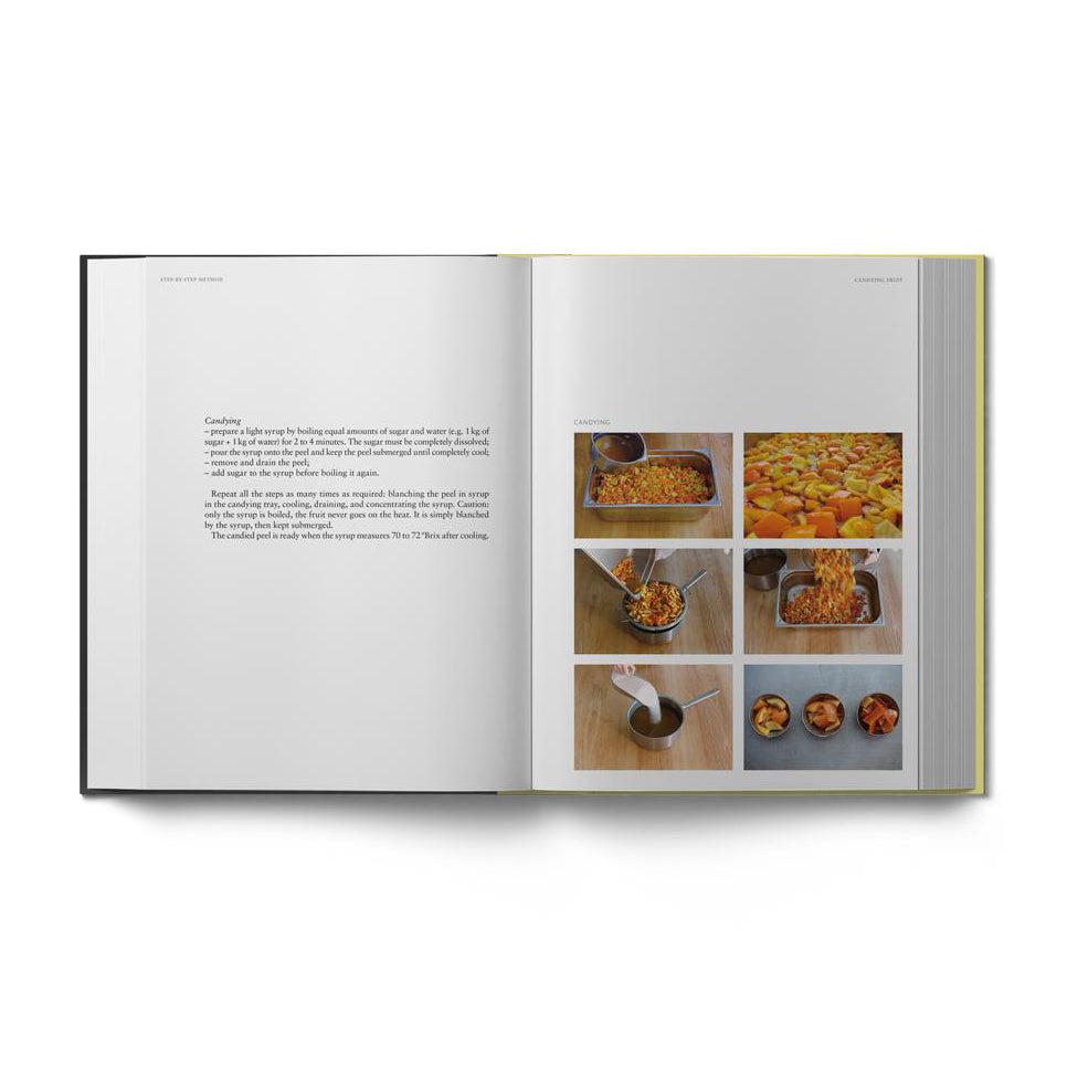 Sourdough Panettone and Viennoiserie by Thomas Teffri-Chambelland (EN)