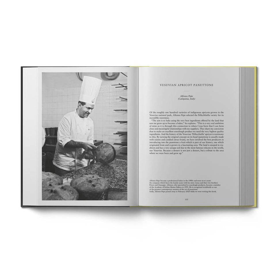 Sourdough Panettone and Viennoiserie by Thomas Teffri-Chambelland (EN)
