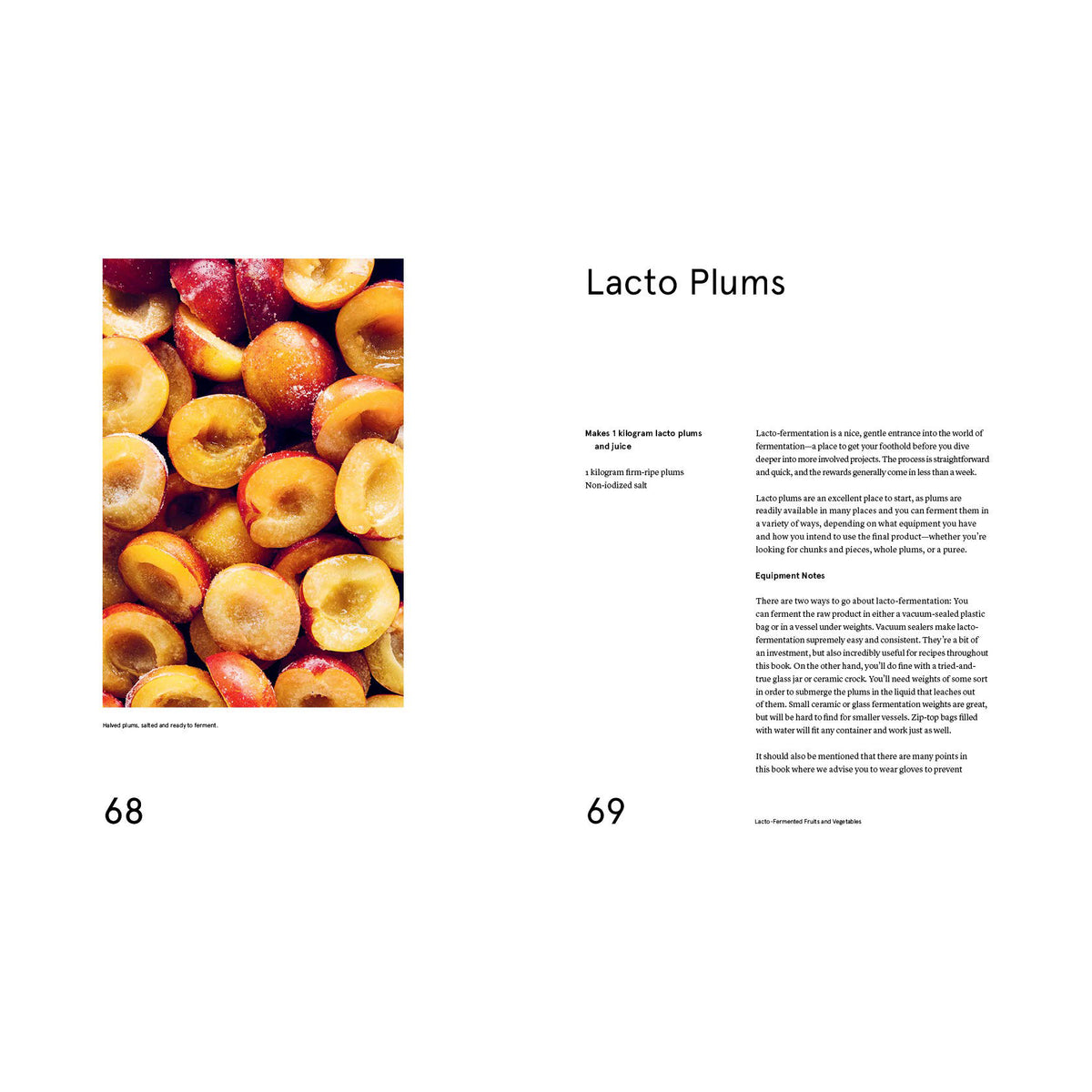 The Noma Guide to Fermentation (EN)