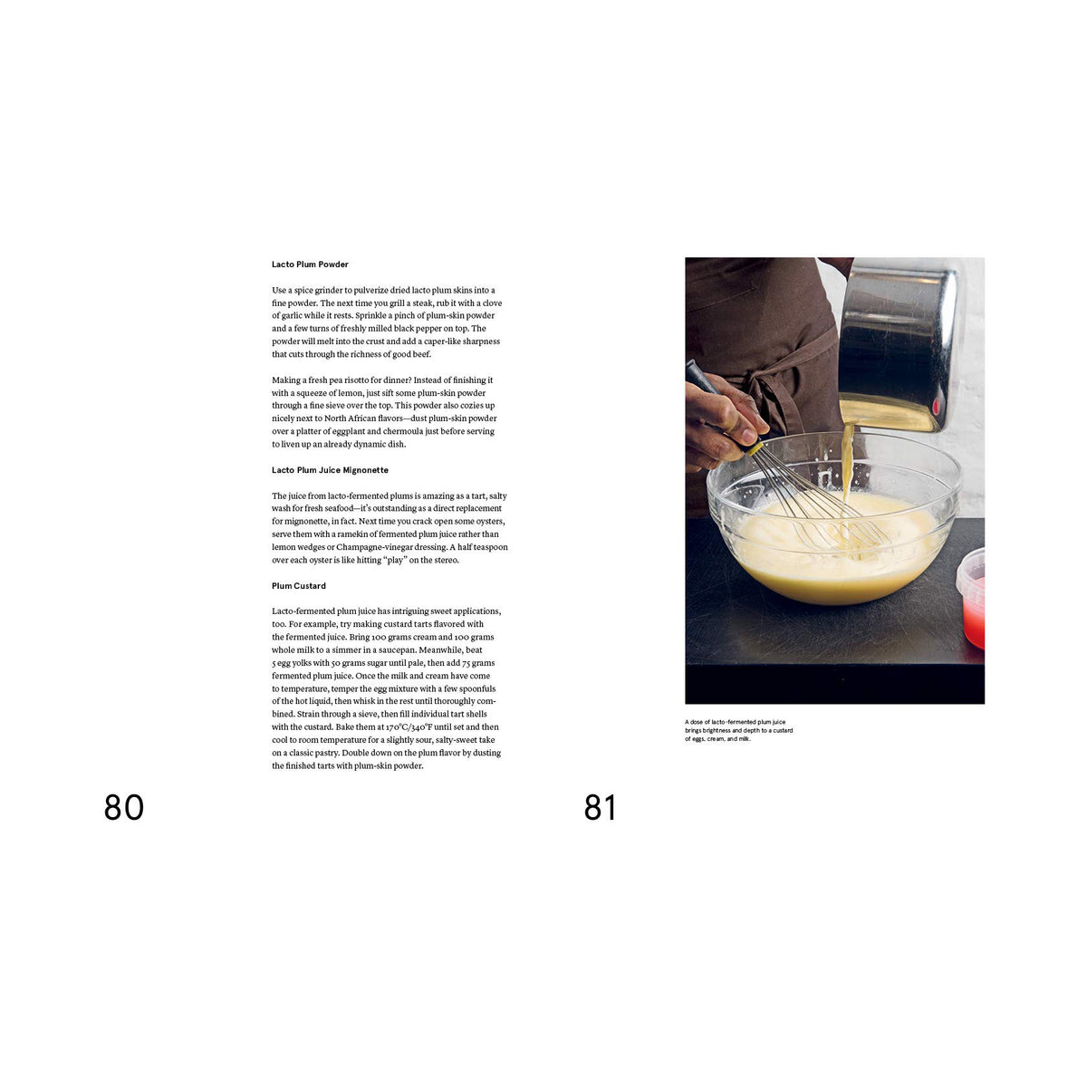 The Noma Guide to Fermentation (EN)