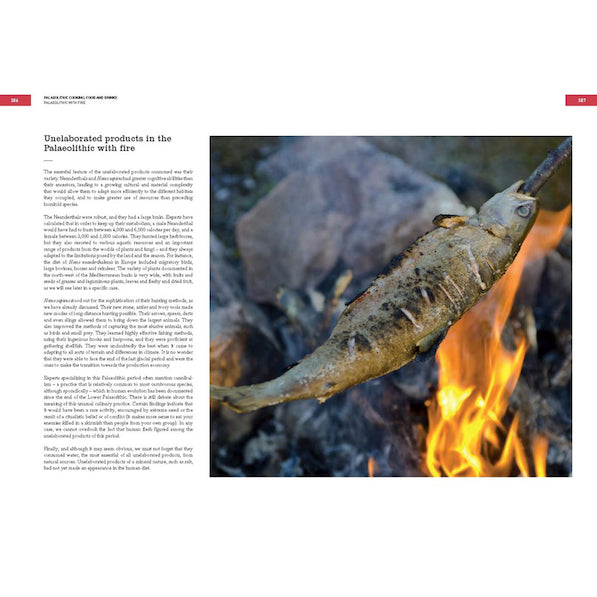 The Origins of Cooking: Palaeolithic and Neolithic Cooking (EN)