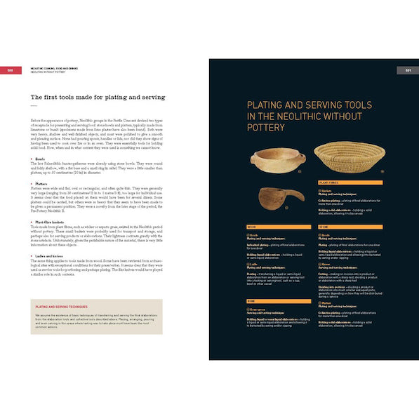 The Origins of Cooking: Palaeolithic and Neolithic Cooking (EN)