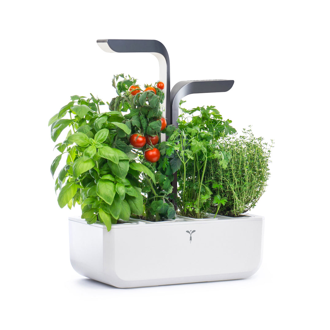 VERITABLE Connect Edition Infinity Grey, 4 Plants
