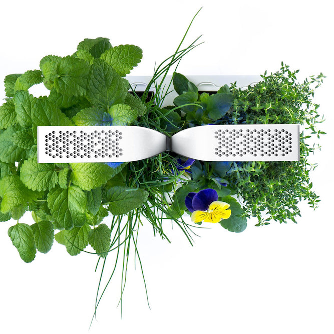 VERITABLE Exky Classic Edition White, 4 Plants