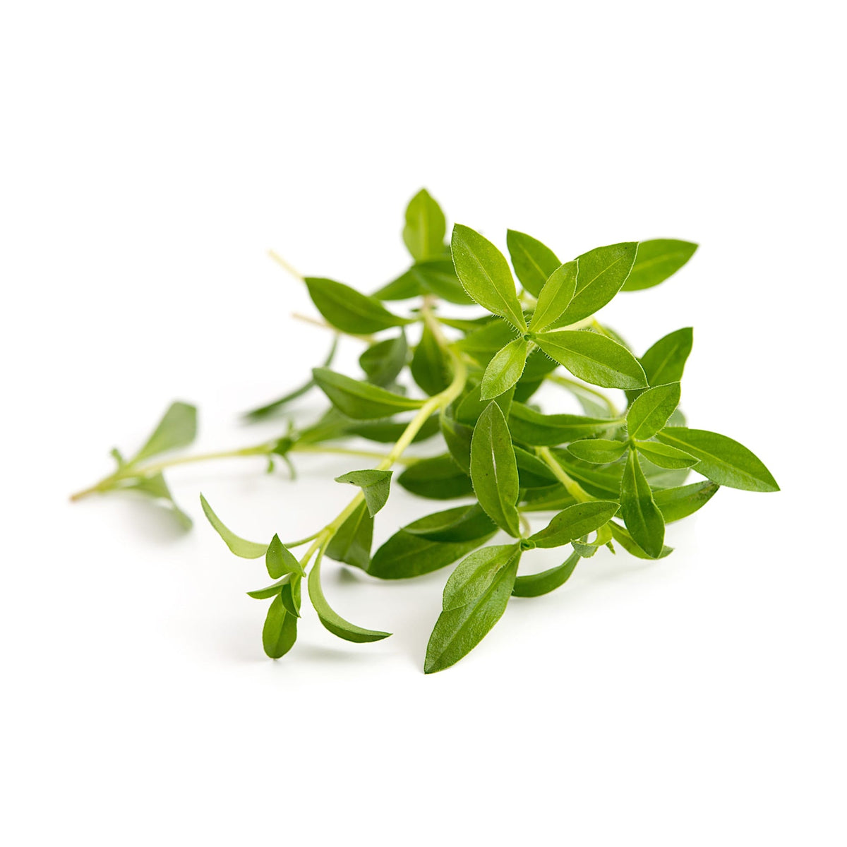 VERITABLE Lingot, Organic Savory