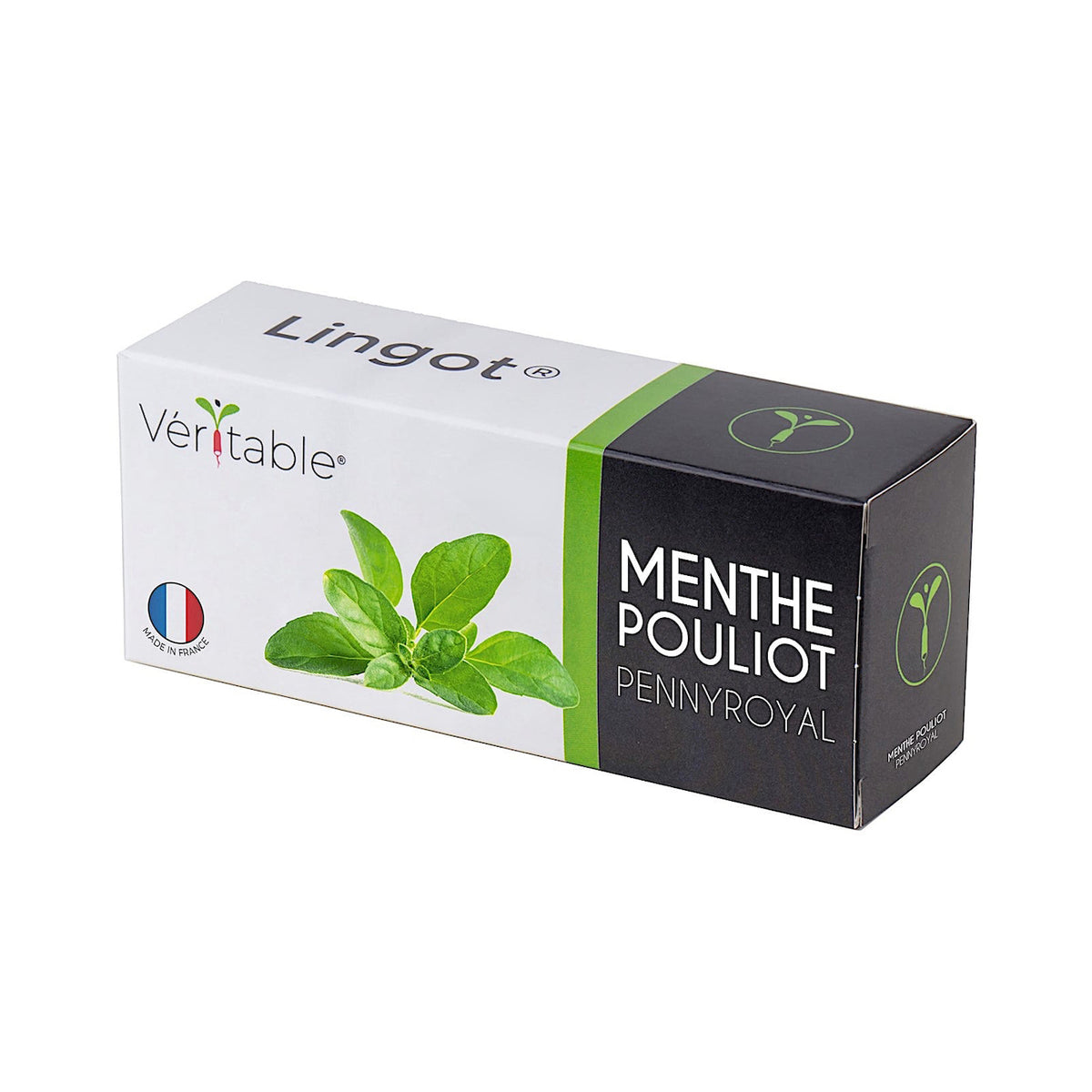 VERITABLE Lingot, Pennyroyal Mint