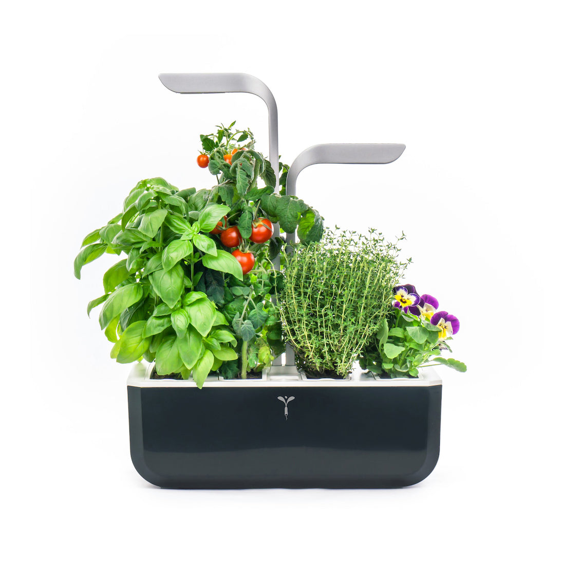 VERITABLE Smart Edition Black, 4 Plants