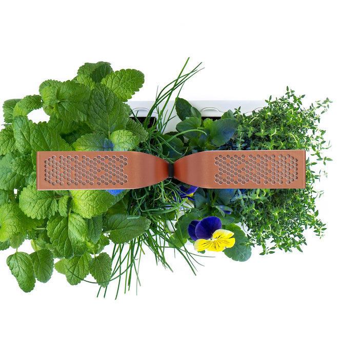 VERITABLE Smart Edition Copper, 4 Plants