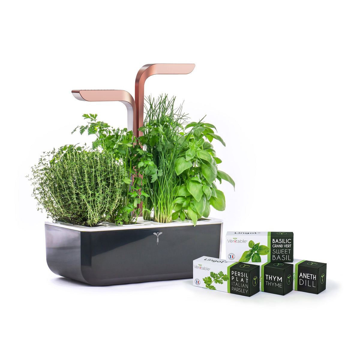 VERITABLE Smart Edition Copper, 4 Plants