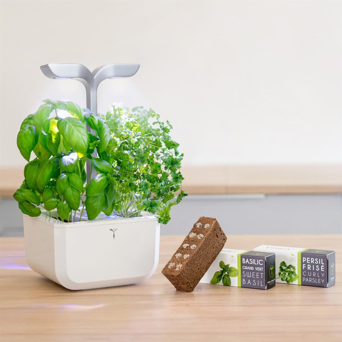VERITABLE Smart Exky Edition White, 2 Plants