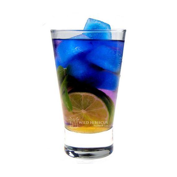 WILD HIBISCUS B'lure Butterfly Pea Flower Extract, 100ml