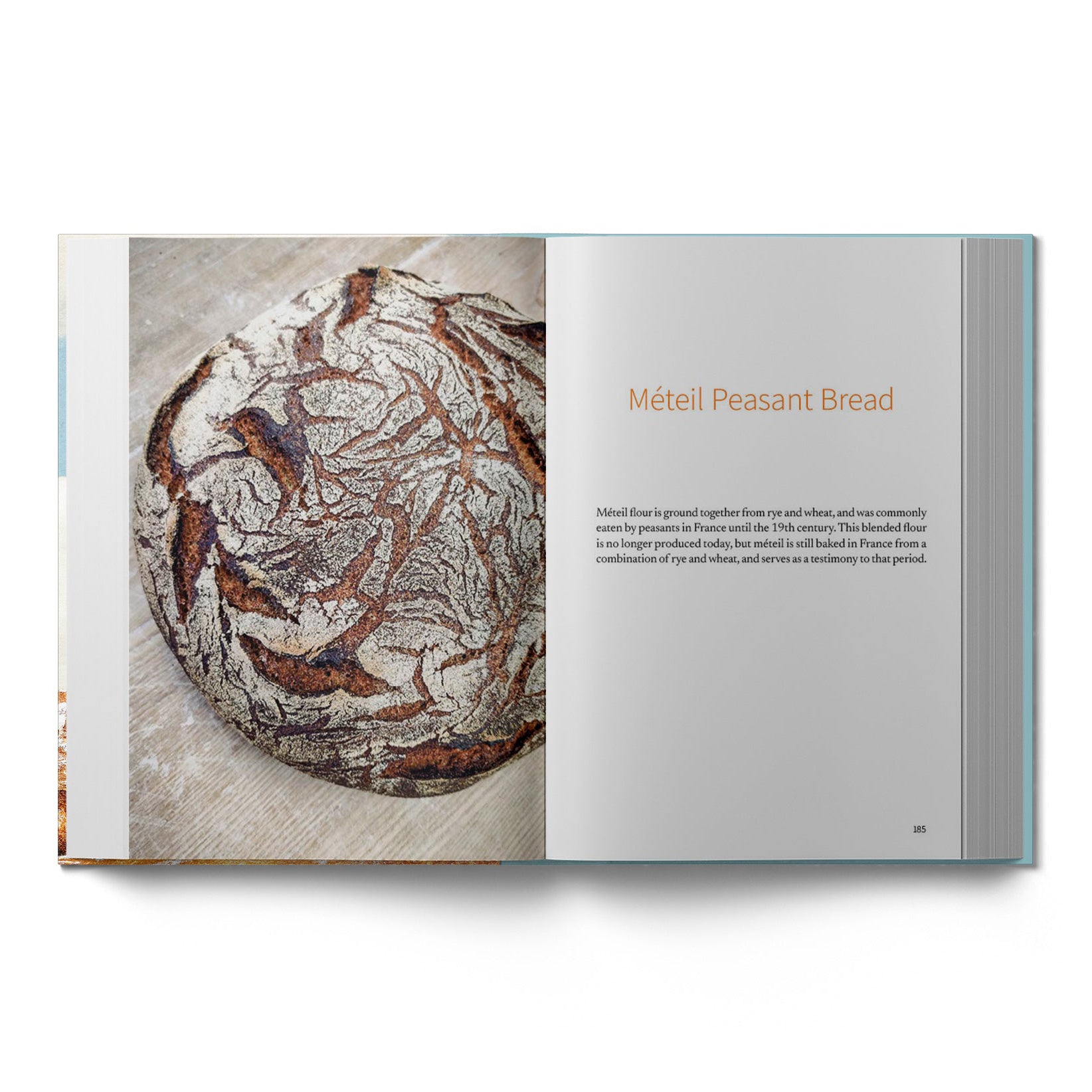 Bread and My Thoughts by Ranit Shahar & Thomas Teffri-Chambellan (EN)