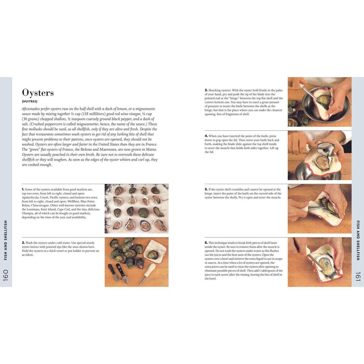 A printed page from a fishing or seafood guide featuring the heading 'Oysters' with explanatory text, small inset photos of oysters, and numbered step-by-step handling instructions with hands visible.