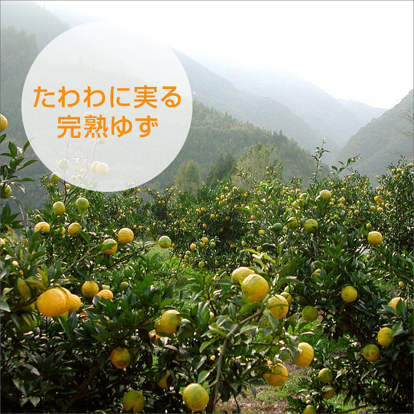 KAGURA NO SATO Yuzu Zest, Fine Powder in Bottle, 25g