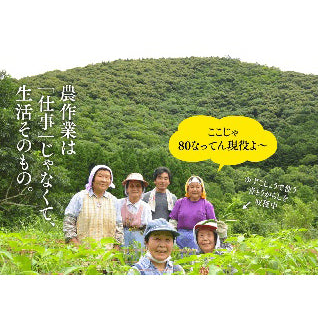 KAGURA NO SATO Yuzu Zest, Fine Powder in Bottle, 25g