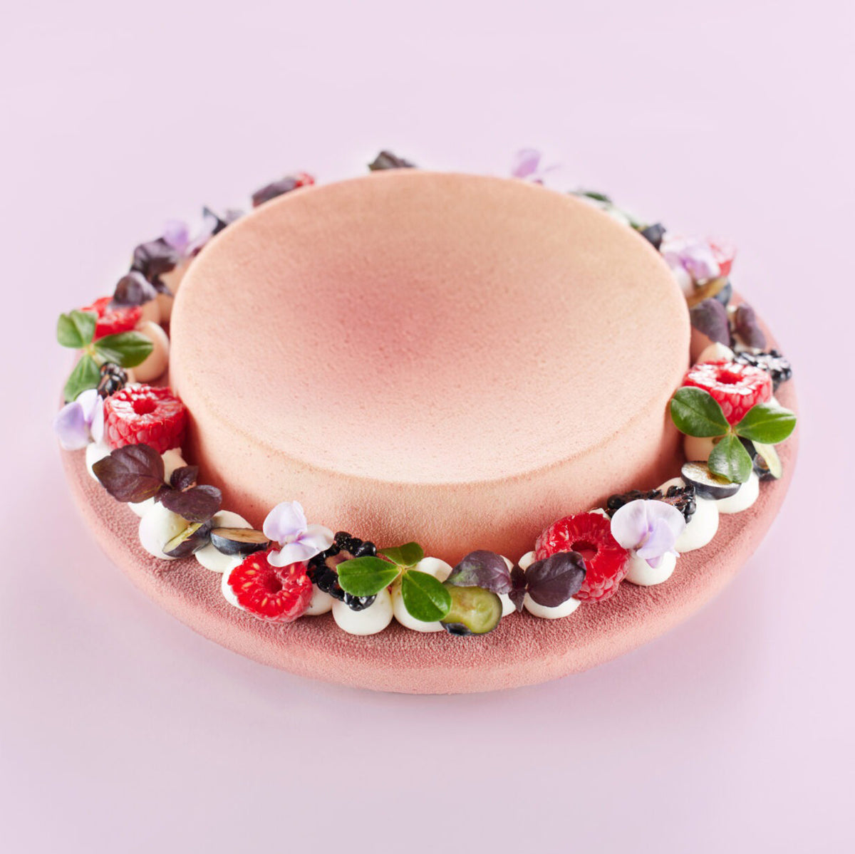 LES VERGERS BOIRON Frozen Fruit Puree – Açaí Berry