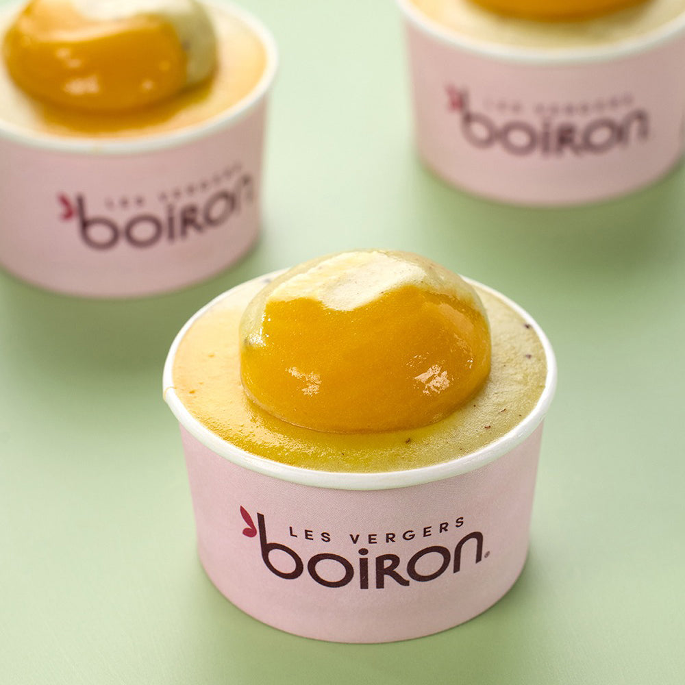 LES VERGERS BOIRON Frozen Fruit Puree – Bergamot