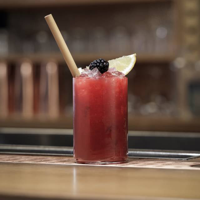 LES VERGERS BOIRON Frozen Fruit Puree – Blackberry