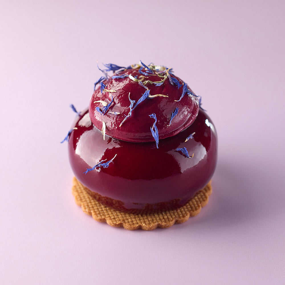 LES VERGERS BOIRON Frozen Fruit Puree – Blackcurrant (Cassis)