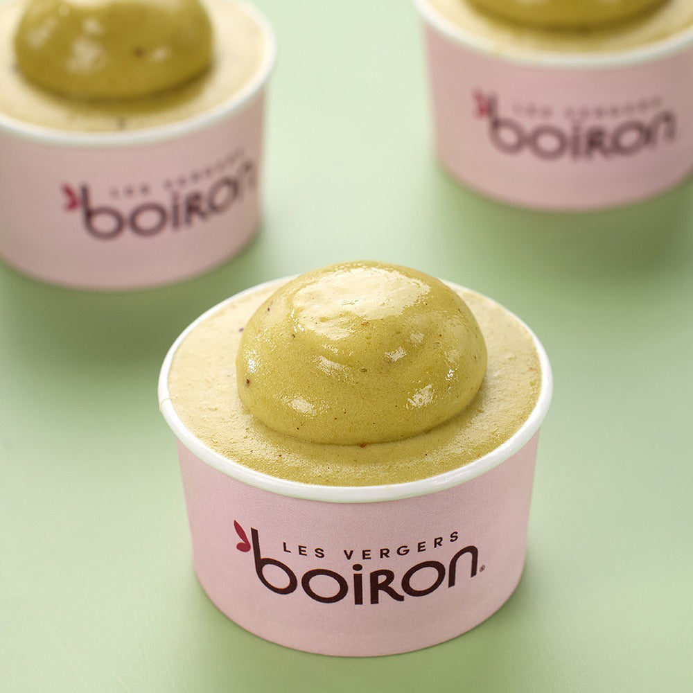 LES VERGERS BOIRON Frozen Fruit Puree – Kiwi