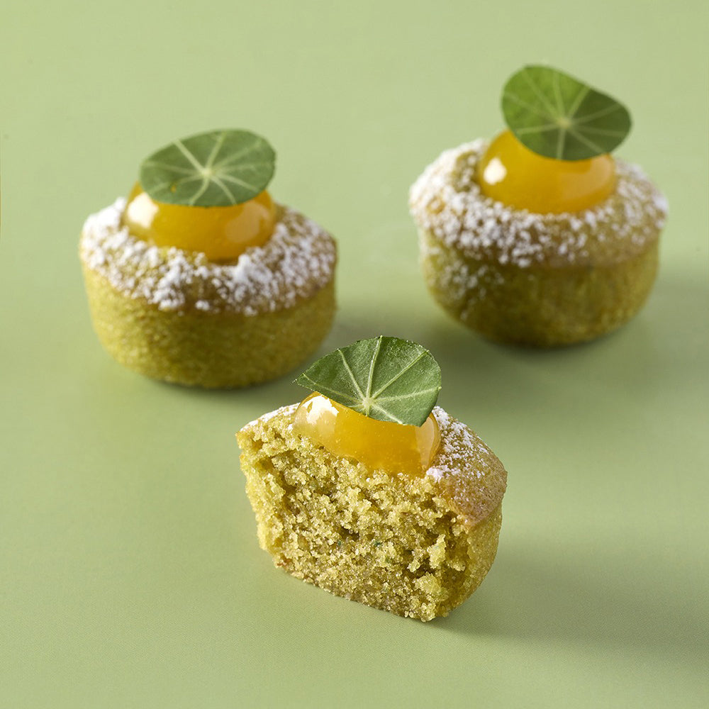 LES VERGERS BOIRON Frozen Fruit Puree – Kumquat