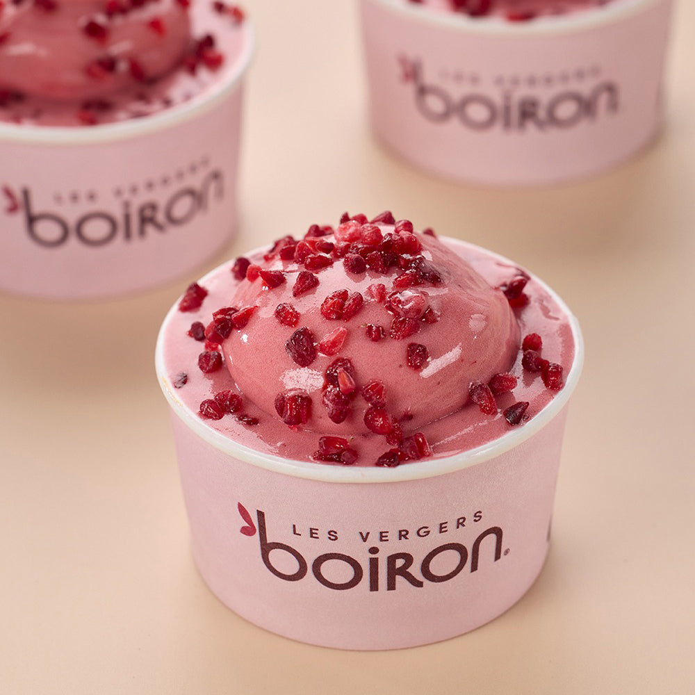 LES VERGERS BOIRON Frozen Fruit Puree – Lychee