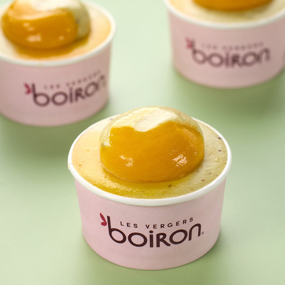 LES VERGERS BOIRON Frozen Fruit Puree – Mango