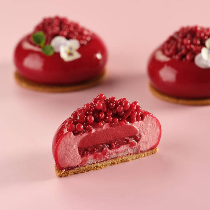 LES VERGERS BOIRON Frozen Fruit Puree – Raspberry