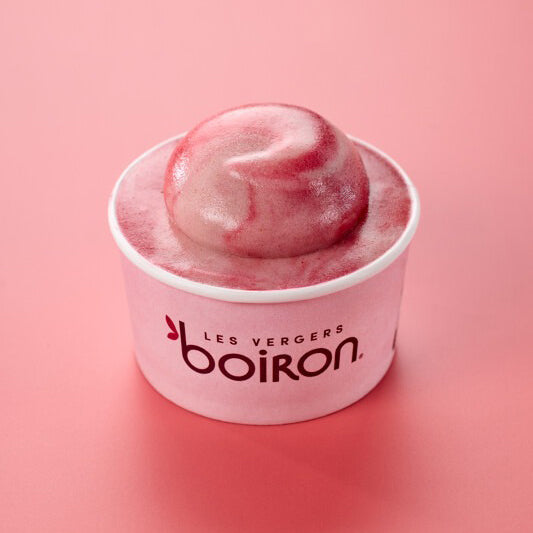 LES VERGERS BOIRON Frozen Fruit Puree – White Peach