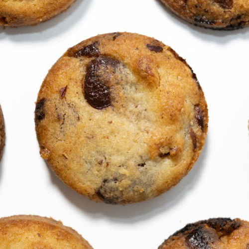 Chocolate chip cookie on a white background