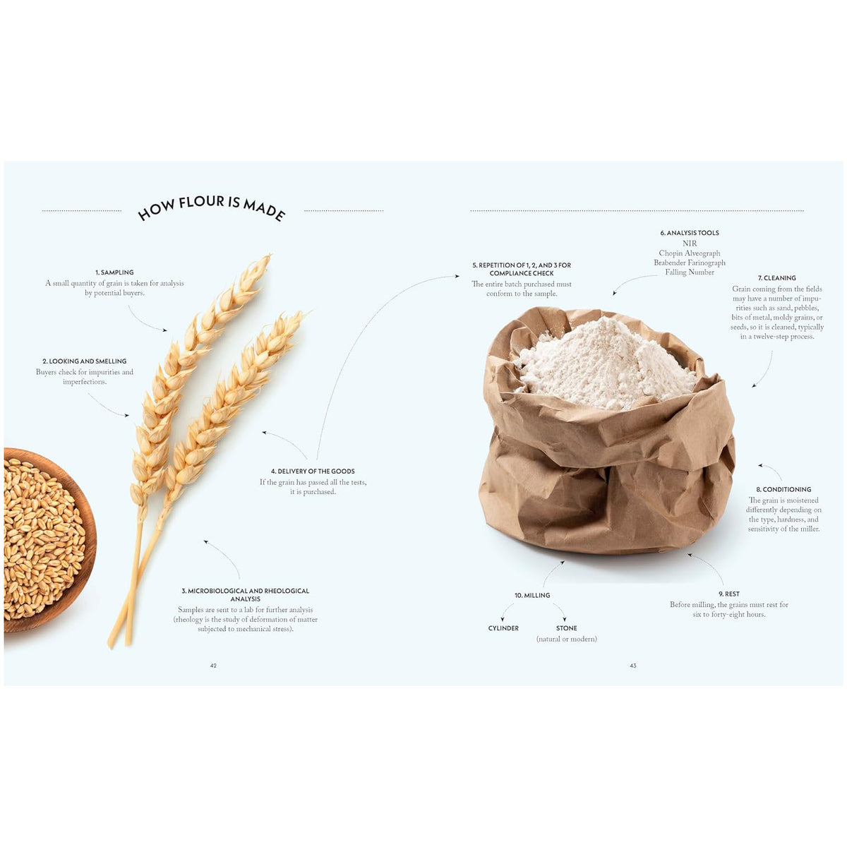 An educational infographic titled 'HOW FLOUR IS MADE' on a light blue background, featuring illustrations and photos of wheat stalks, a bowl of wheat grains, and a brown paper sack filled with white flour, with labeled steps and facts.