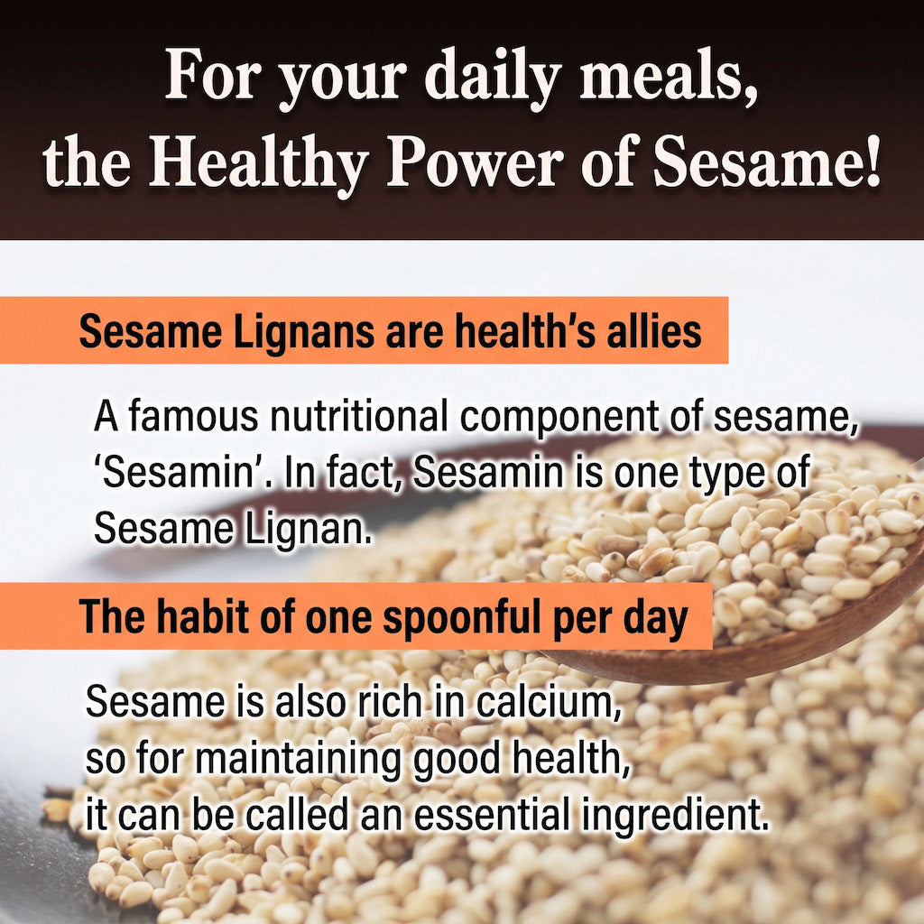 An informational graphic about sesame seeds, with a dark header reading 'For your daily meals, the Healthy Power of Sesame!' and text explaining sesame lignans and calcium benefits, over a close-up photo of sesame seeds in a wooden spoon.