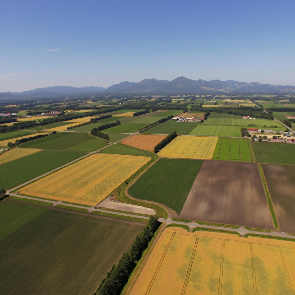 Aerial view of a rural landscape with fields and mountains in the background.