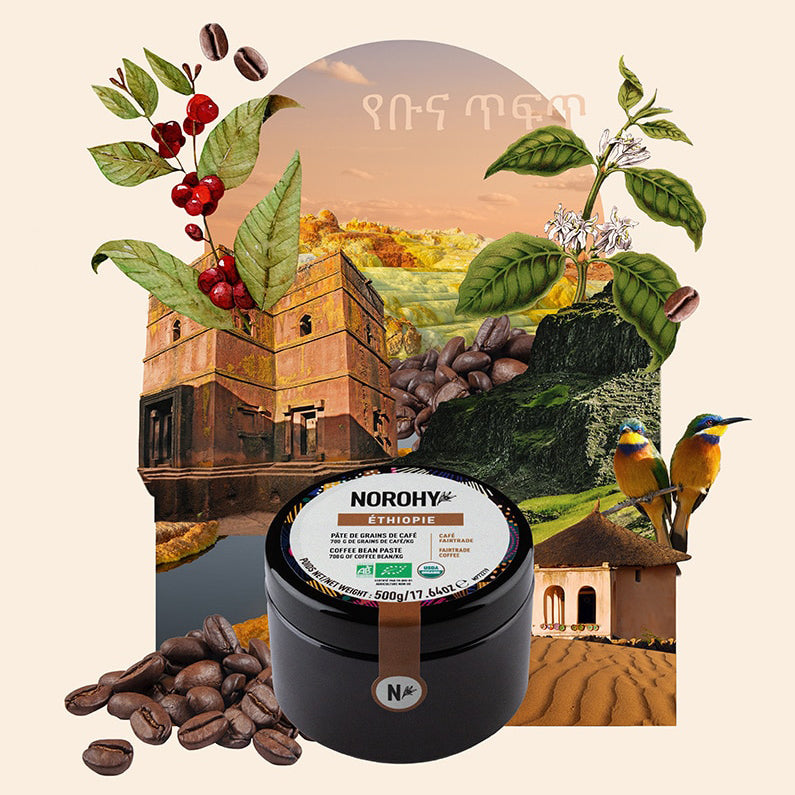 NOROHY Organic Arabica Coffee Bean Paste, 500g